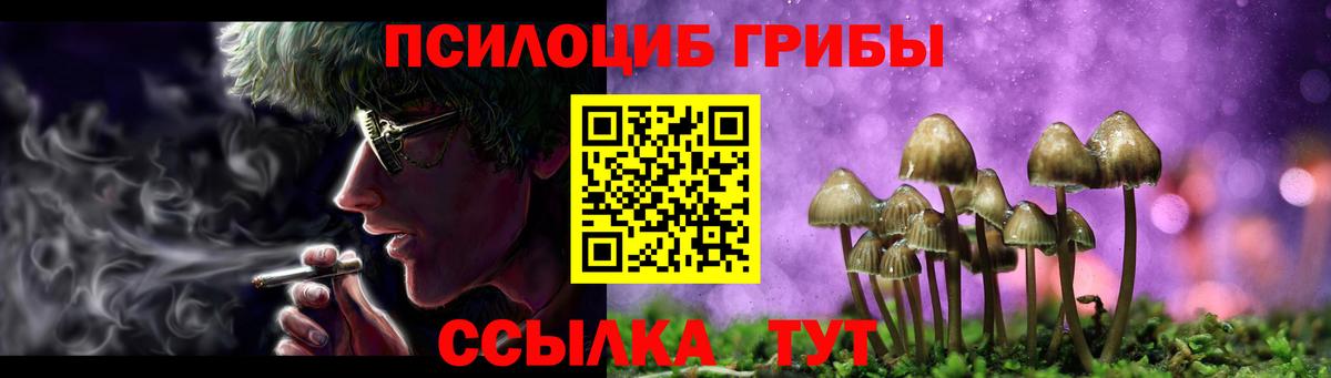 Галлюциногенные грибы мицелий  наркота  Димитровград  Вход с VPN 